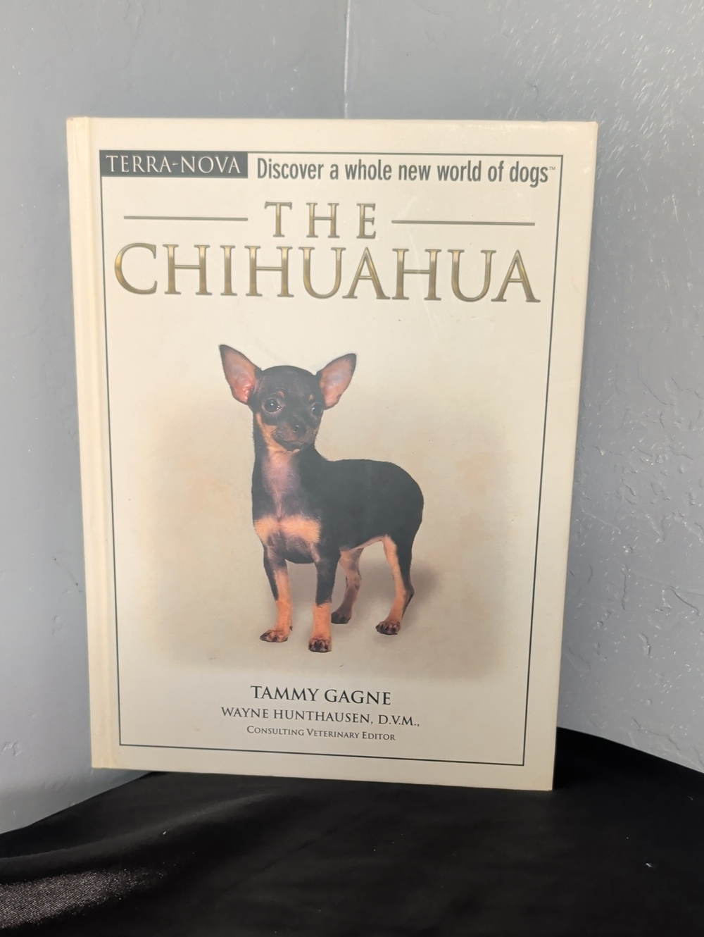 The Chihuahua Book plus training DVD